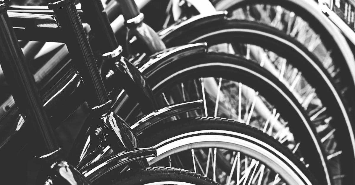 A Guide to the Best Folding Bikes on the Market