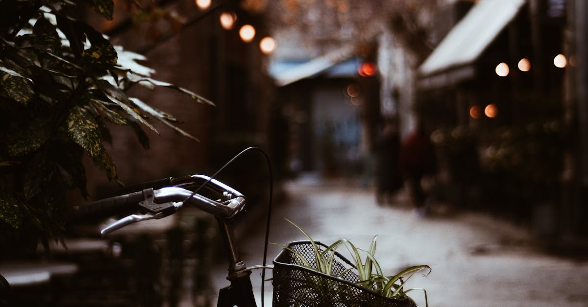 Choosing the Right Helmet for Your Riding Style