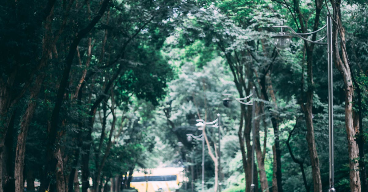 Strategies for Dealing with Road Hazards Effectively